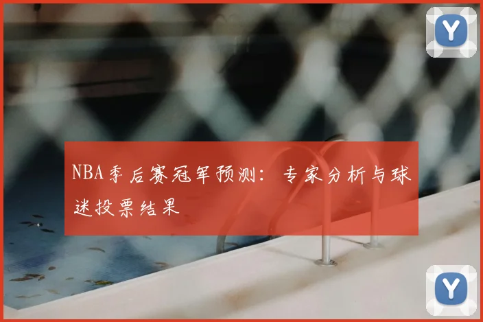 NBA季后赛冠军预测:专家分析与球迷投票结果