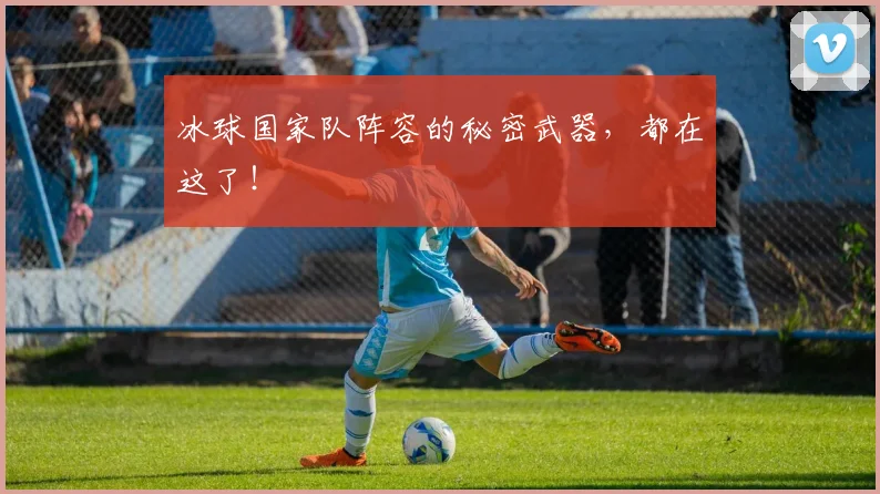 冰球国家队阵容的秘密武器，都在这了！